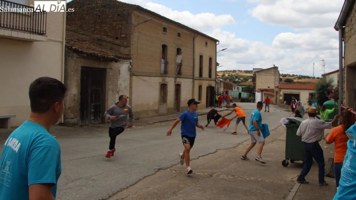 Foto 3 - Novillos, vaquillas y caballos protagonizan el &uacute;ltimo d&iacute;a de las fiestas de San Juan de Hinojosa de Duero
