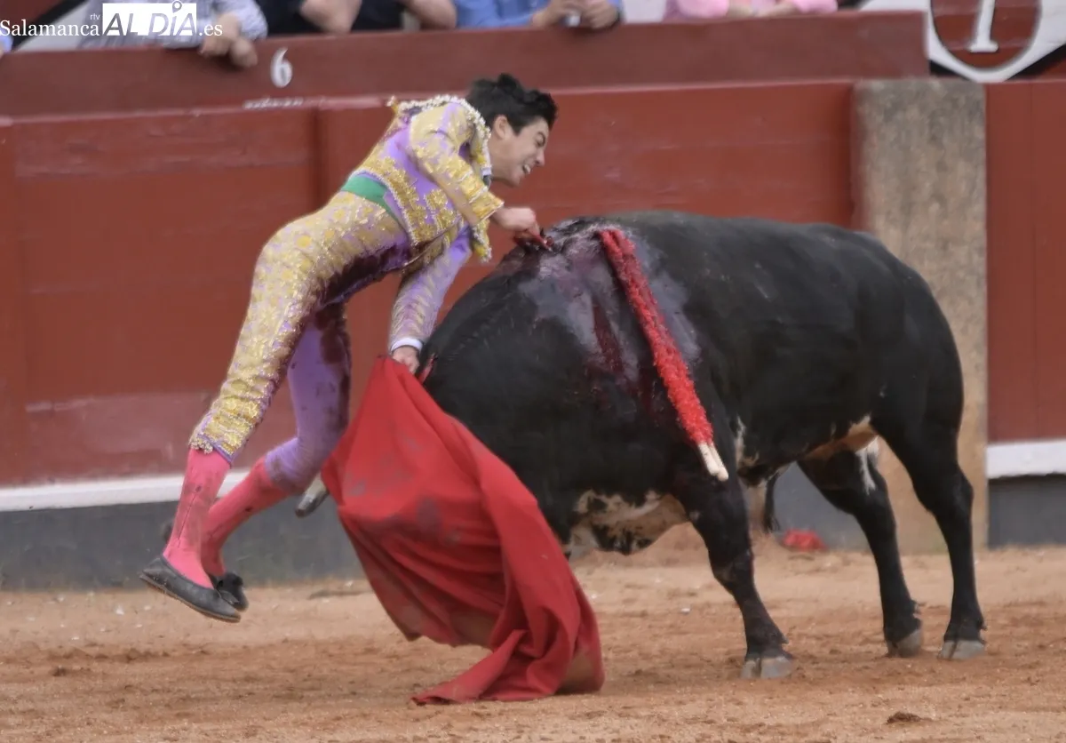 ¡Viva el toreo! 