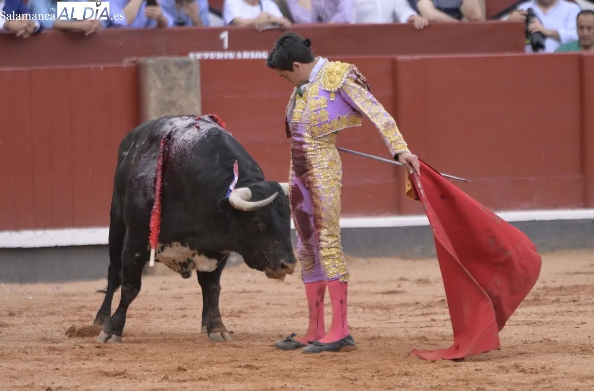 ¡Viva el toreo! 