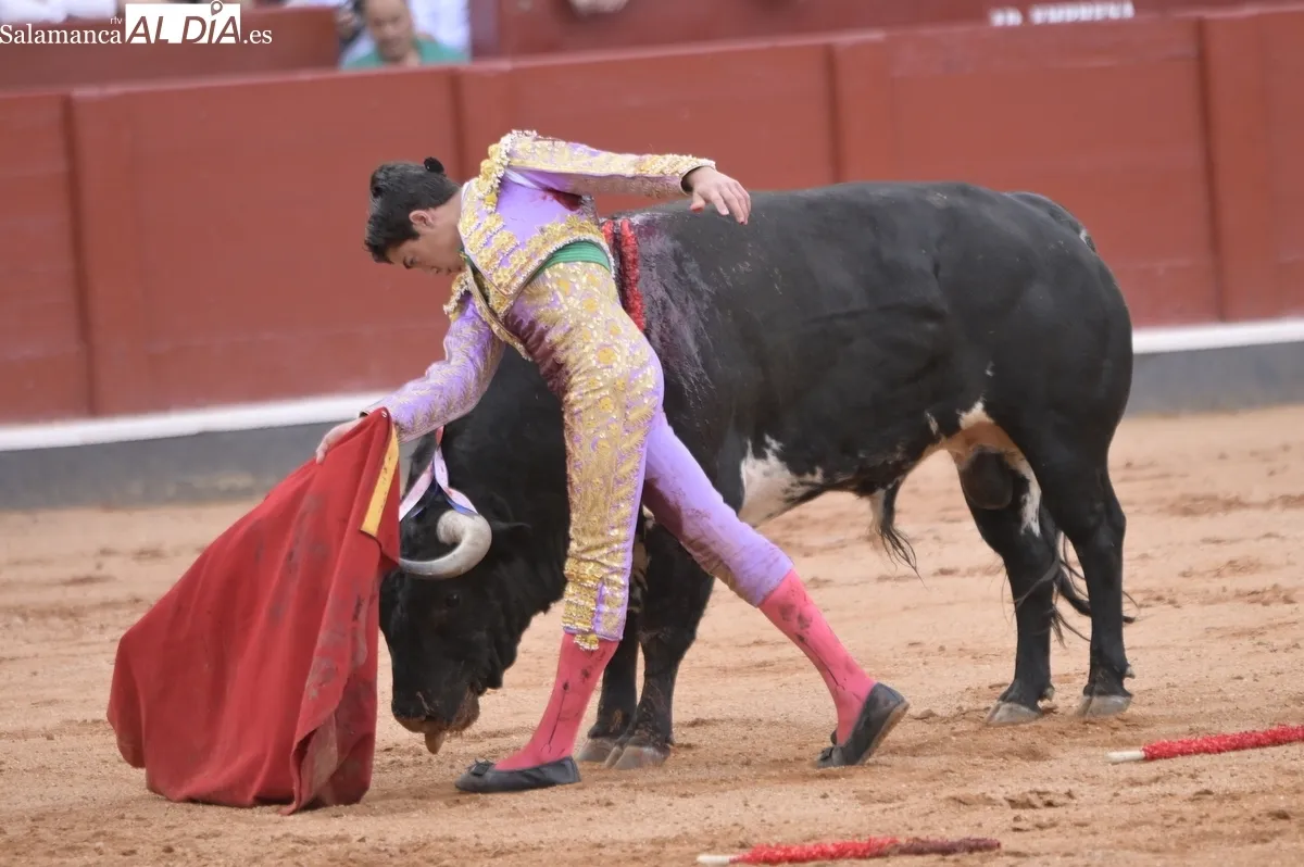 ¡Viva el toreo! 