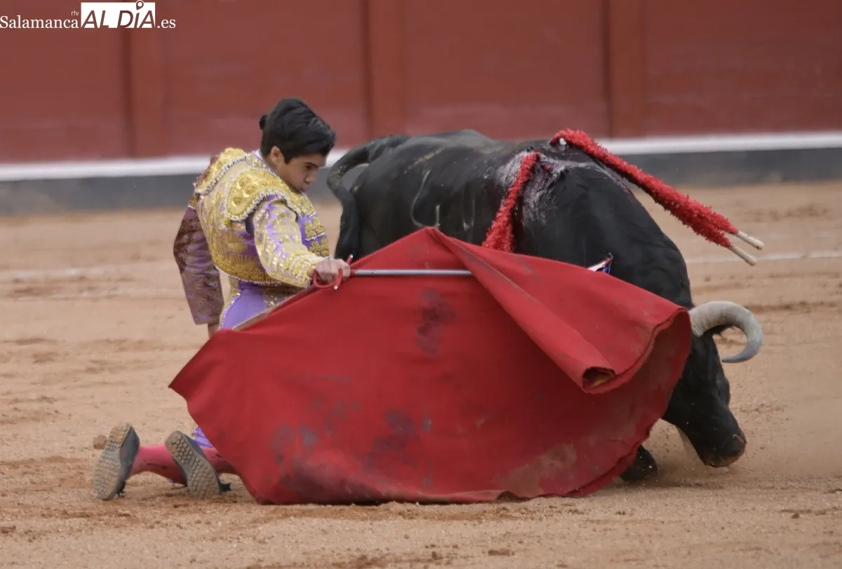 ¡Viva el toreo! 