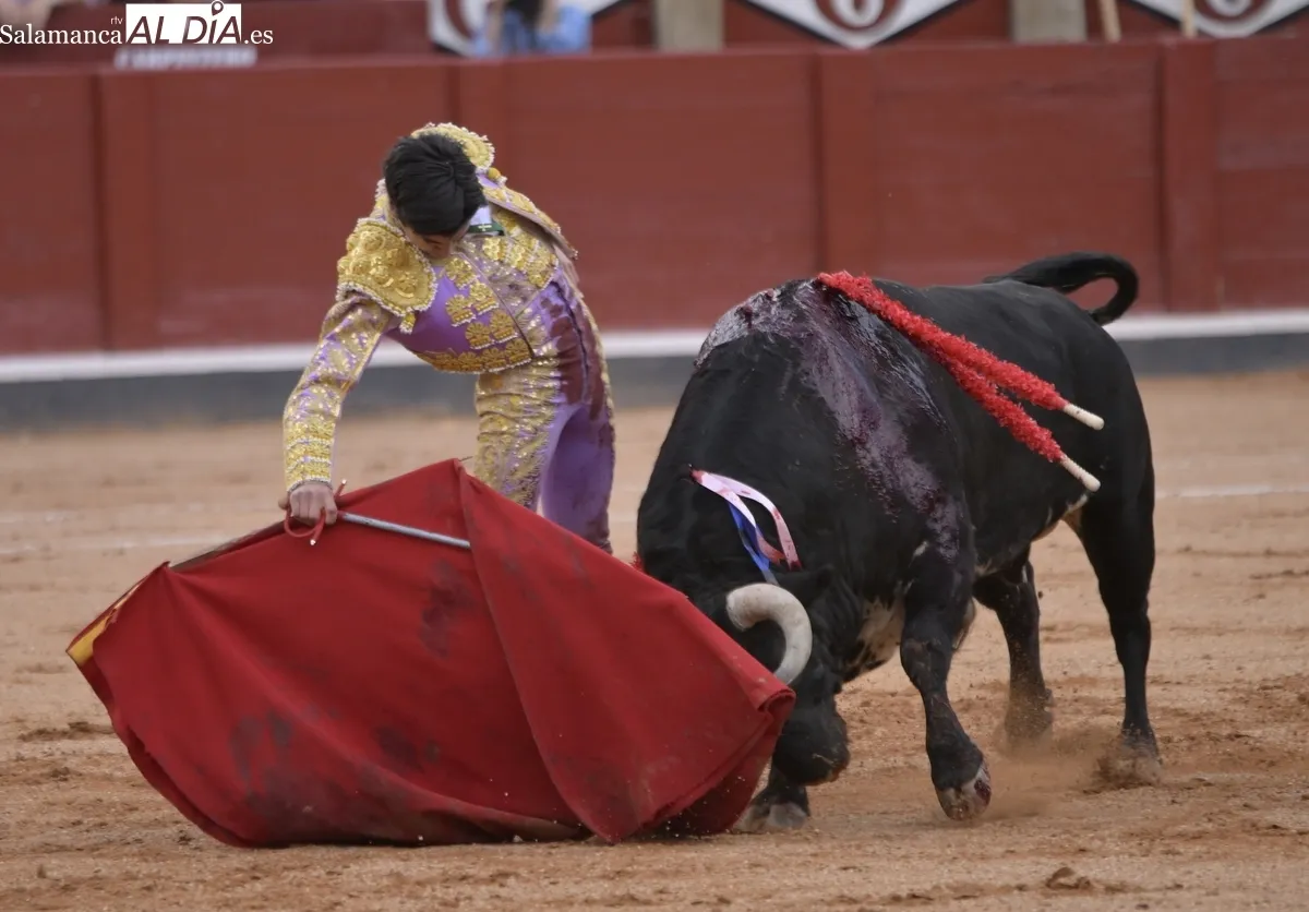 ¡Viva el toreo! 