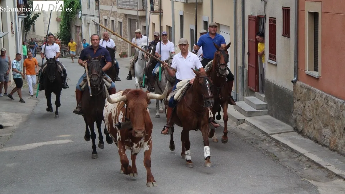 Foto 4 - Hinojosa de Duero abre los festejos taurinos de San Juan con un bonito encierro a caballo