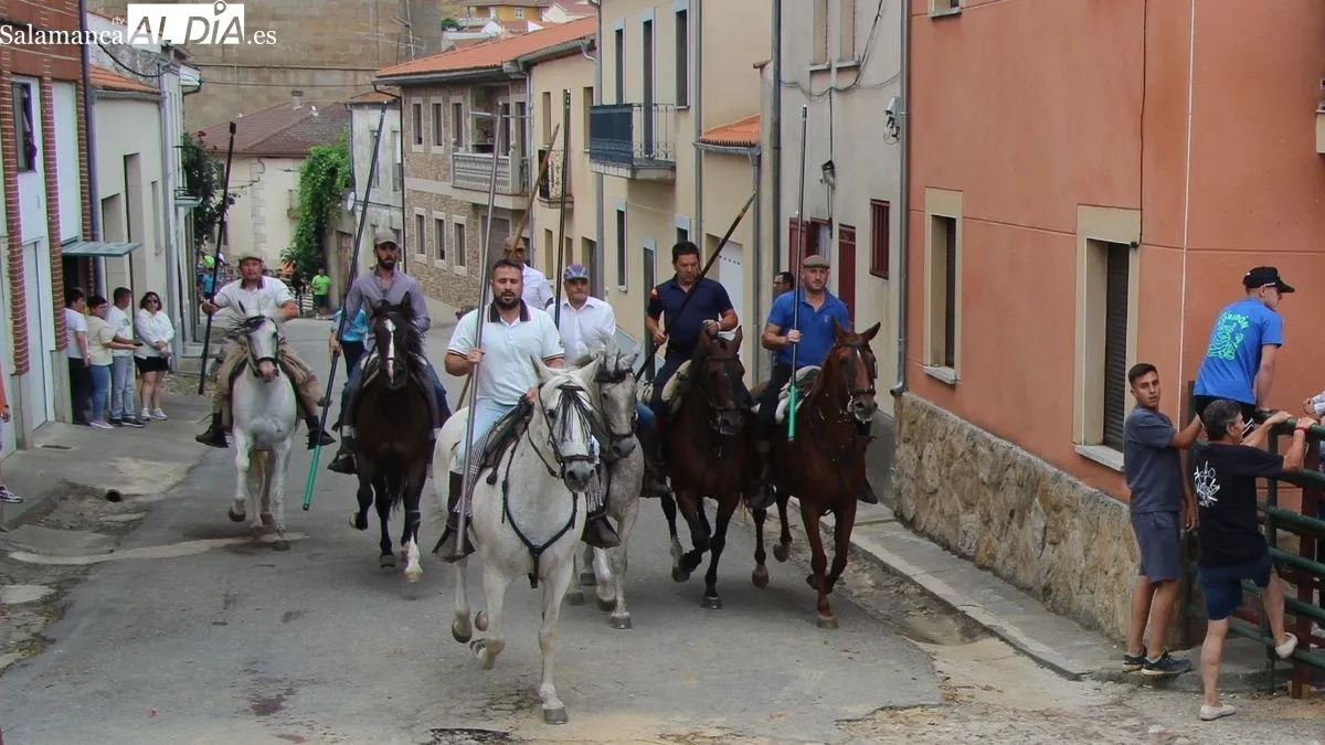 Foto 5 - Novillos, vaquillas y caballos protagonizan el &uacute;ltimo d&iacute;a de las fiestas de San Juan de Hinojosa de Duero