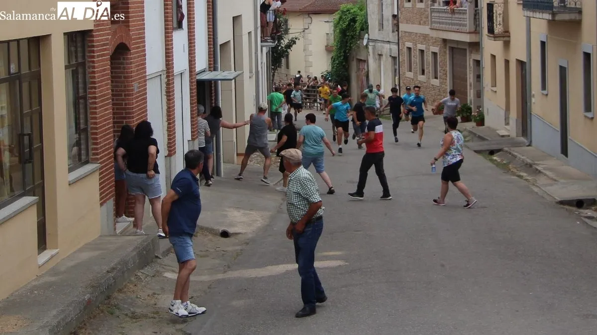Novillos, cabestros y caballos hicieron un limpio recorrido detrás de los corredores