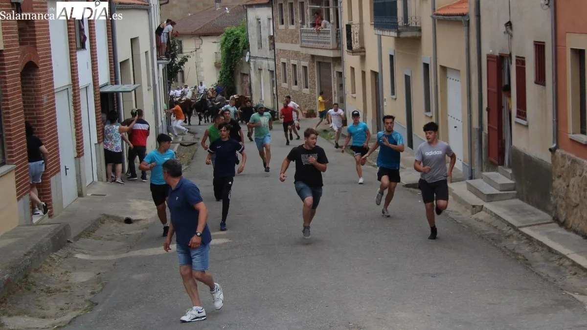 Novillos, cabestros y caballos hicieron un limpio recorrido detrás de los corredores