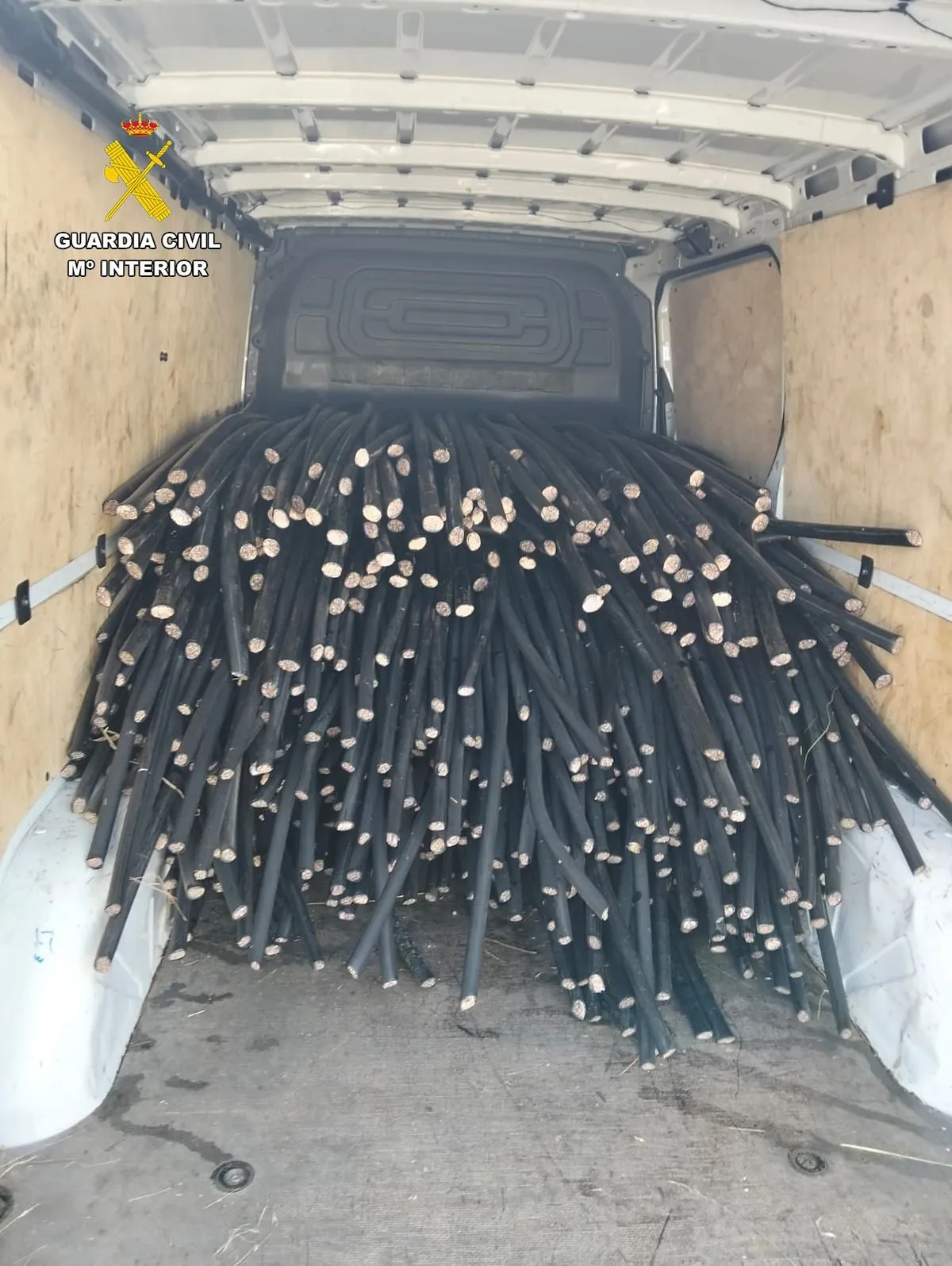 Foto 3 - Sorprendidos durmiendo en el bosque tras robar 2.000 kilos de cable de cobre