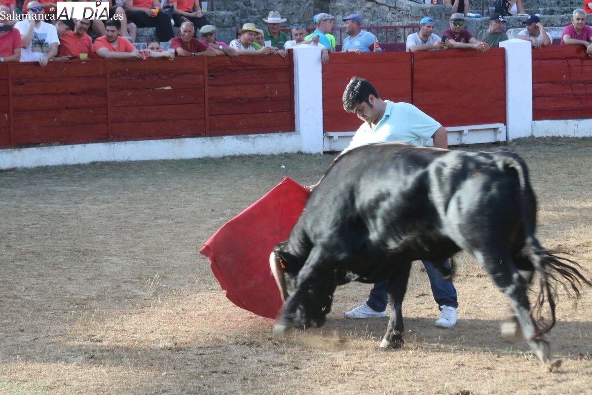 Animada capea de viernes de Corpus en Vitigudino