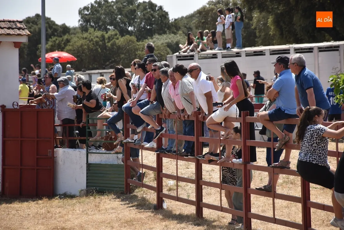 Foto 4 - Vistos&iacute;simo y complicado encierro en Campillo de Azaba con escapada incluida de dos vacas