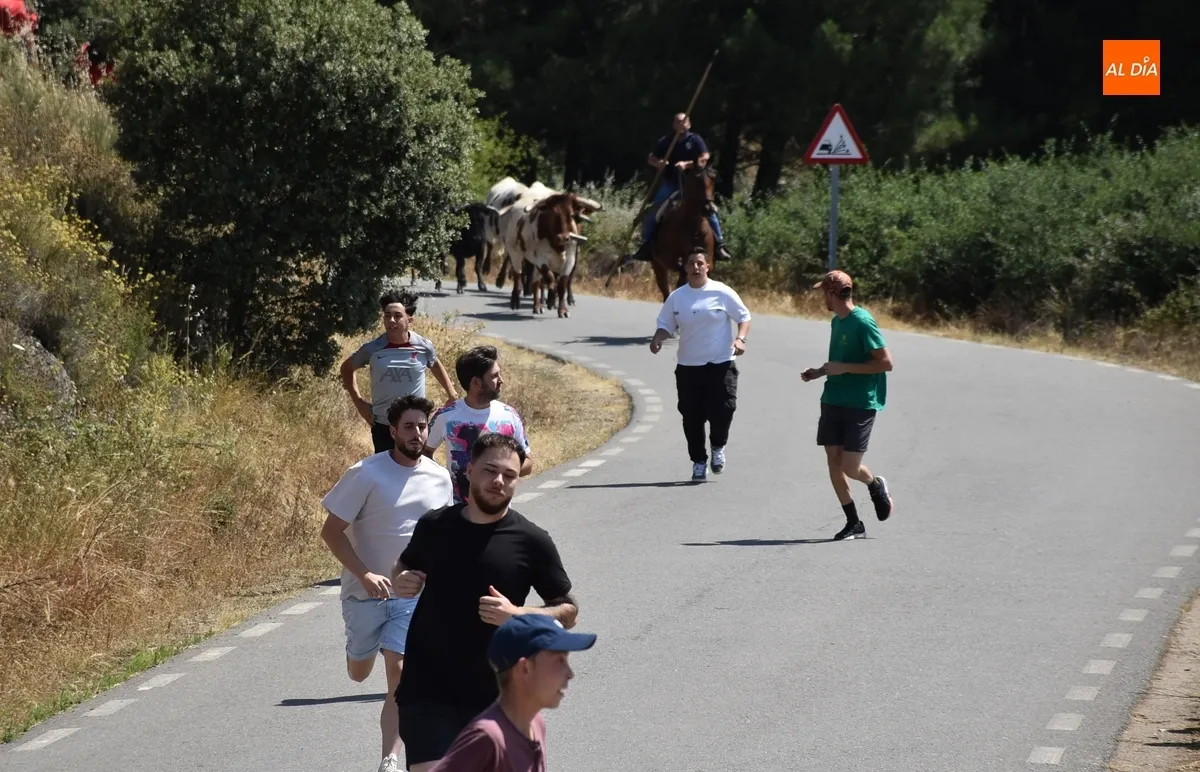 Foto 5 - Una vaca rezagada alarga unos minutos el correcto y limpio encierro a caballo de Robleda