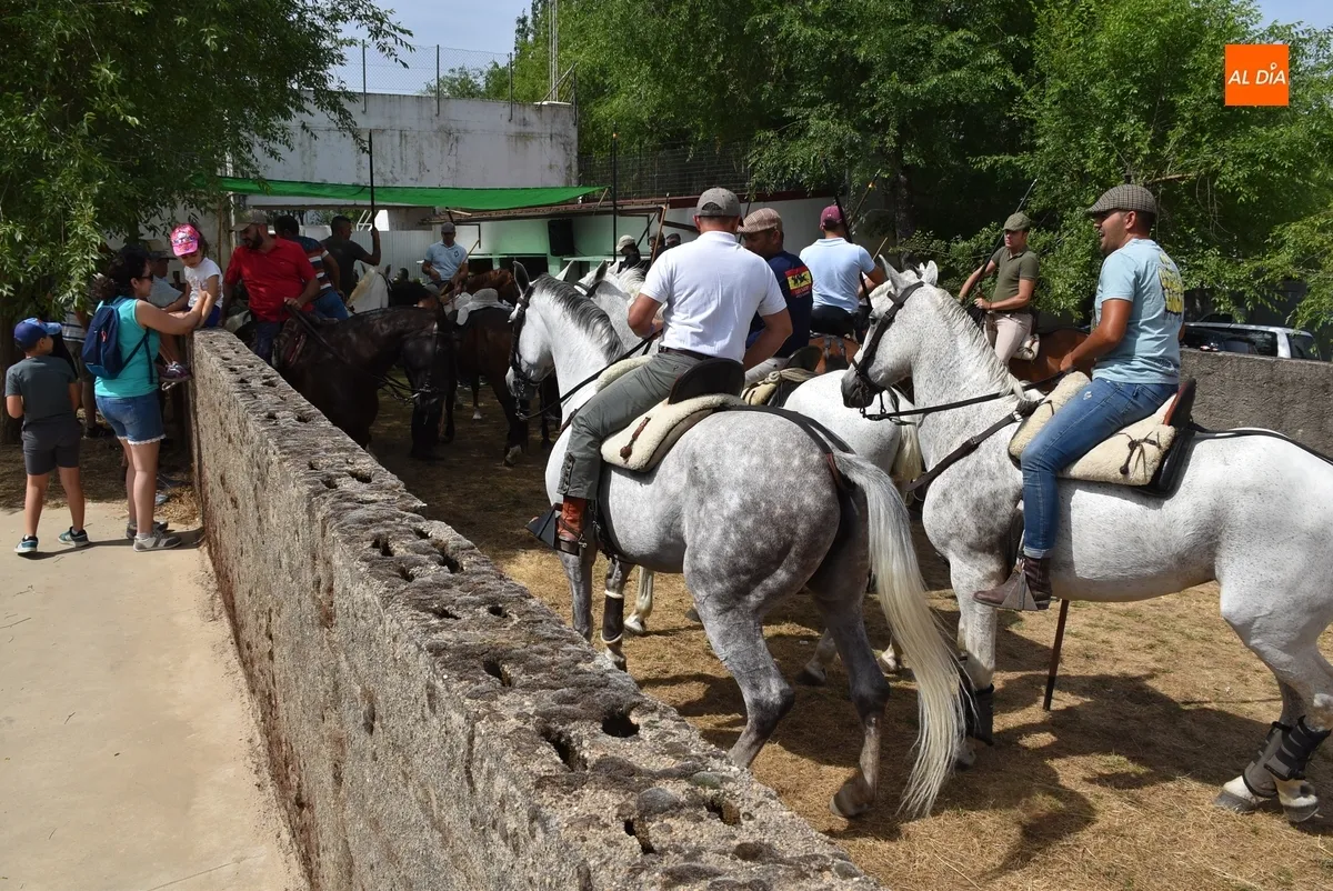 Foto 2 - Los caballistas ejecutan a la perfecci&oacute;n el encierro de campo sabatino de El Payo