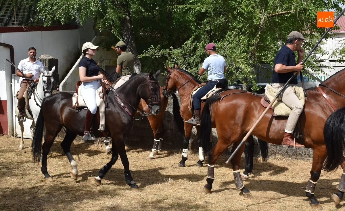 Foto 4 - Los caballistas ejecutan a la perfecci&oacute;n el encierro de campo sabatino de El Payo