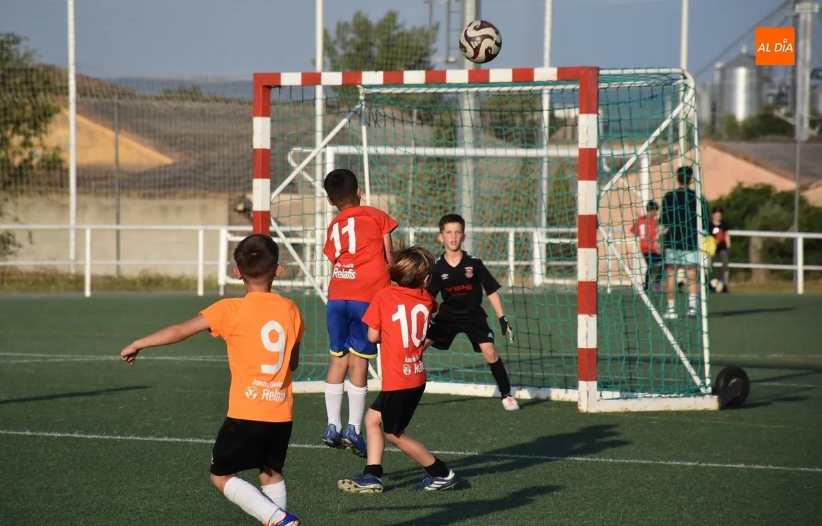 Foto 2 - La 2&ordf; Liga Comarcal del Ciudad Rodrigo CF corona a sus campeones