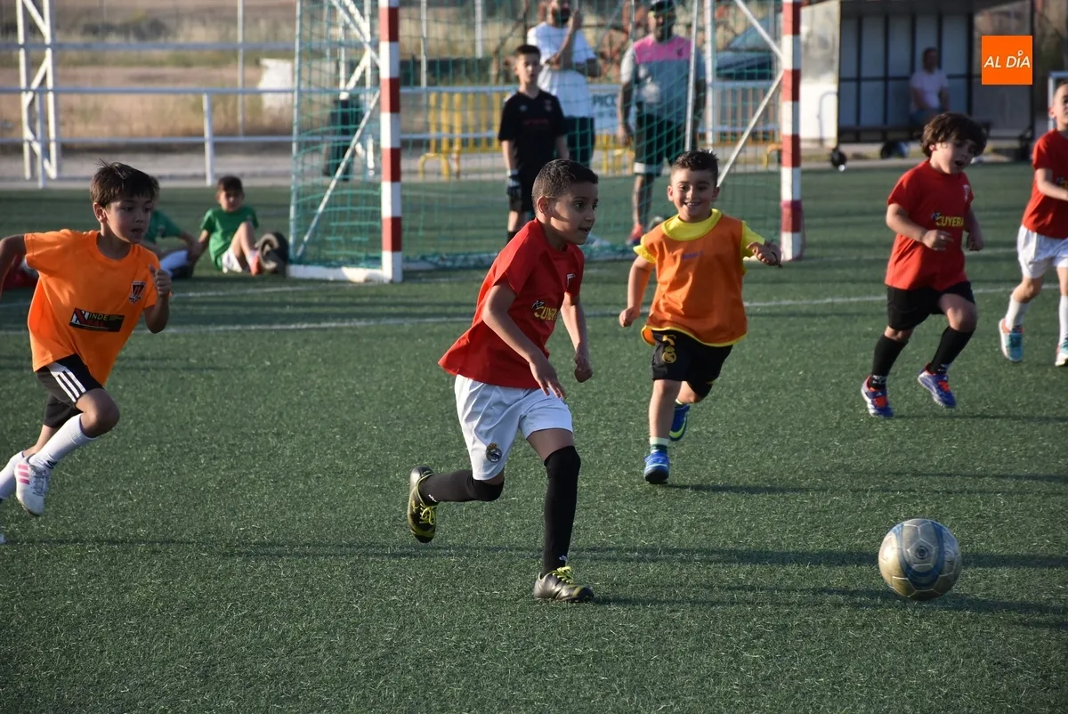 Foto 4 - La 2&ordf; Liga Comarcal del Ciudad Rodrigo CF corona a sus campeones