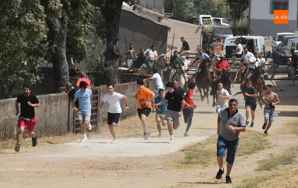 Foto 8 - Los caballistas ejecutan a la perfecci&oacute;n el encierro de campo sabatino de El Payo