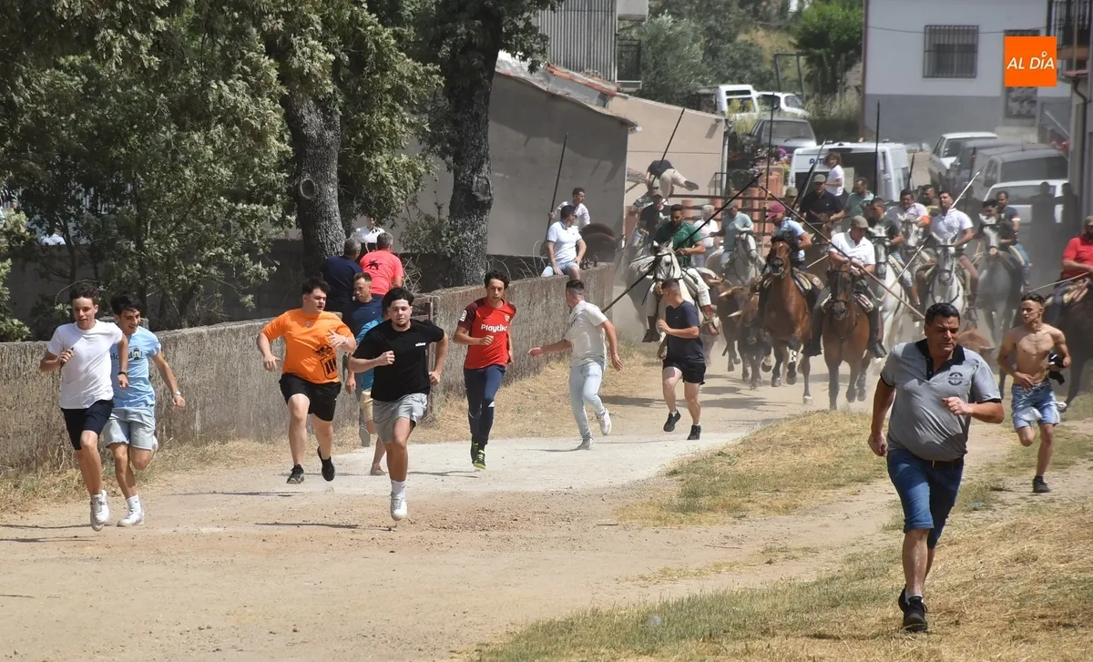 Foto 10 - Los caballistas ejecutan a la perfecci&oacute;n el encierro de campo sabatino de El Payo