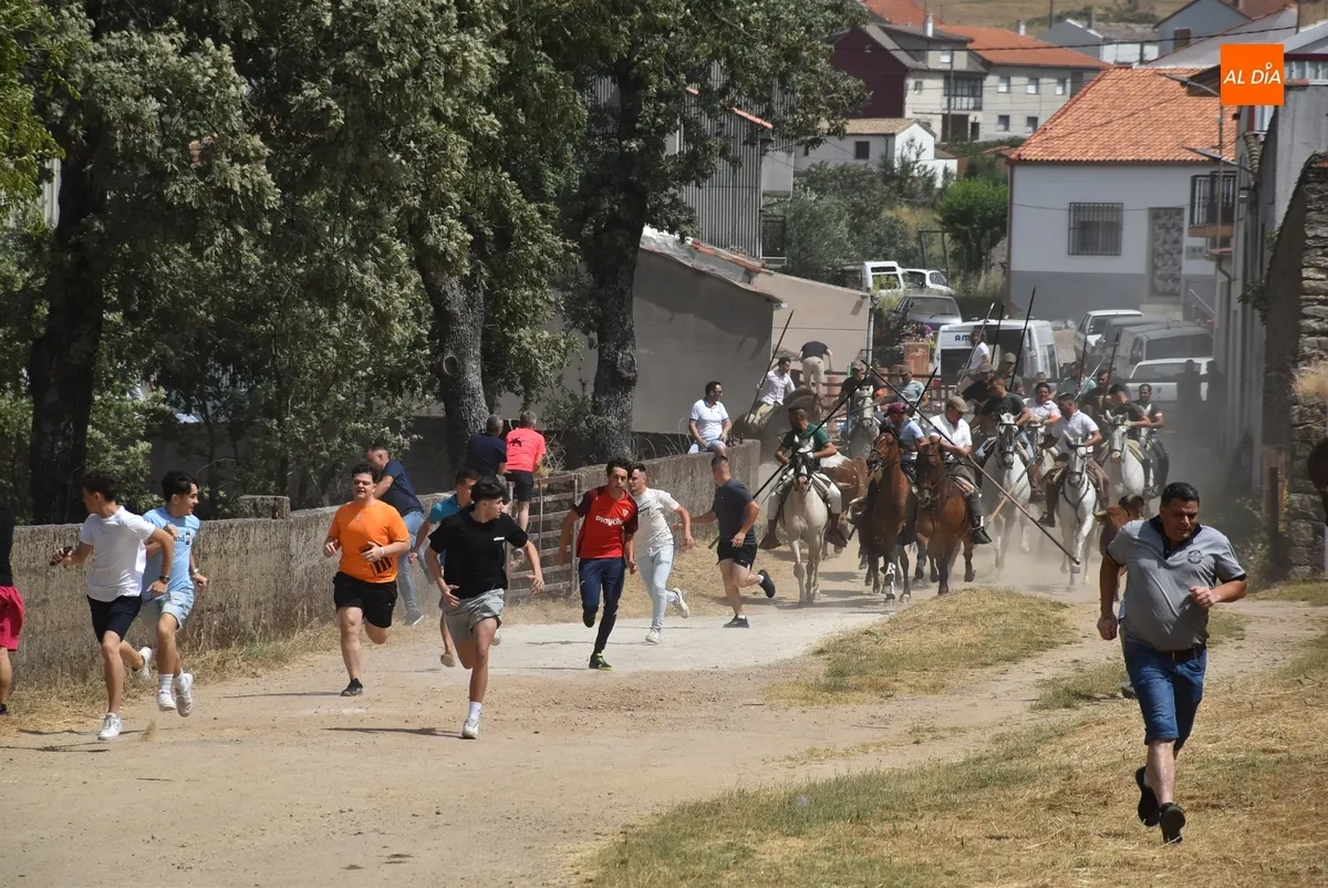 Foto 11 - Los caballistas ejecutan a la perfecci&oacute;n el encierro de campo sabatino de El Payo