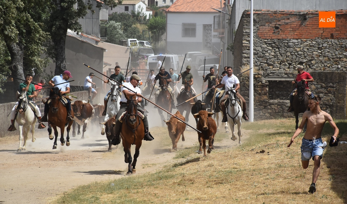 Los caballistas ejecutan a la perfección el encierro de campo sabatino de El Payo