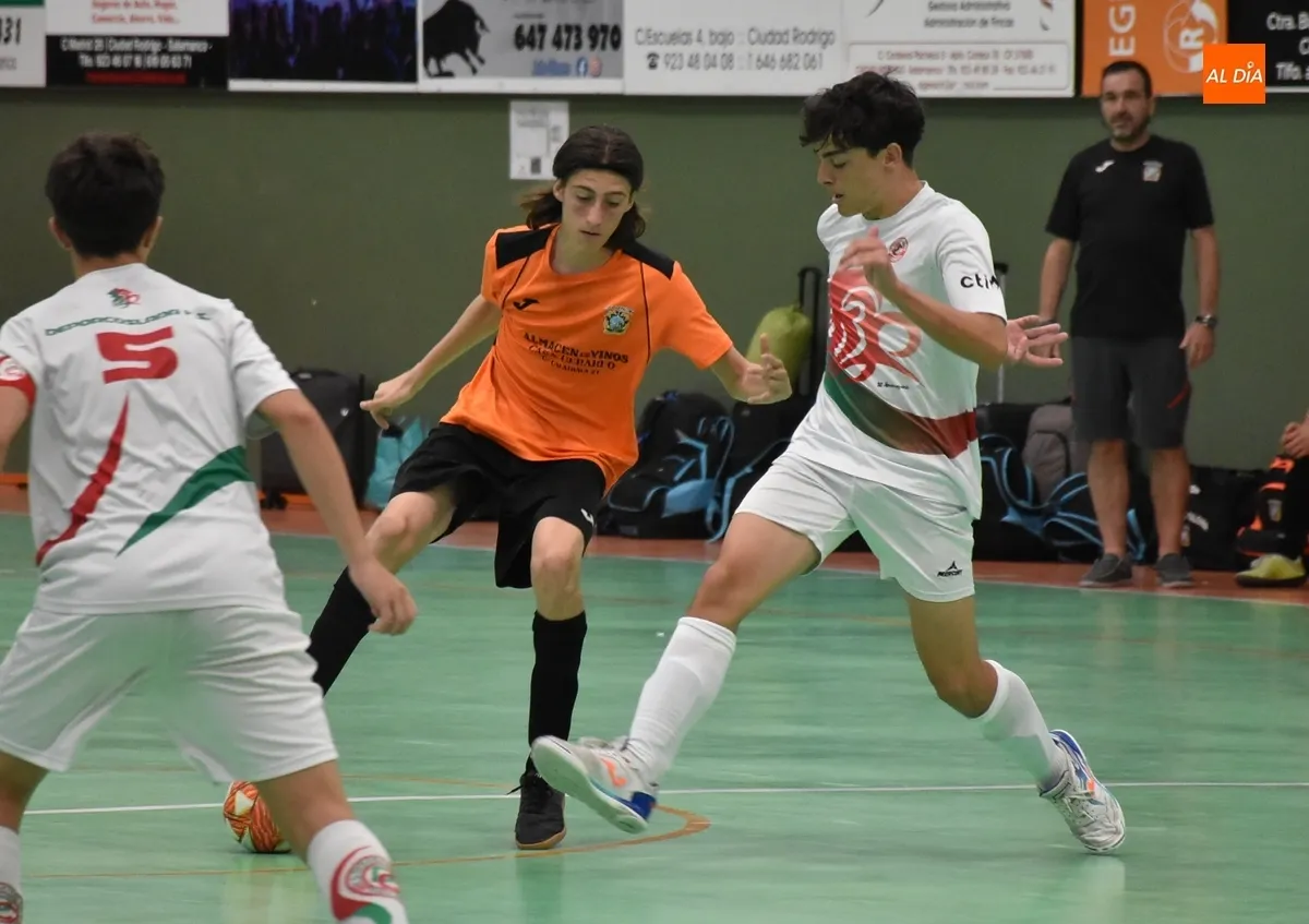 Foto 9 - Culmina el Torneo de F&uacute;tbol Sala con doblete de Loreto de Madrid, CDR La Paloma y Ciudad de Torrej&oacute;n