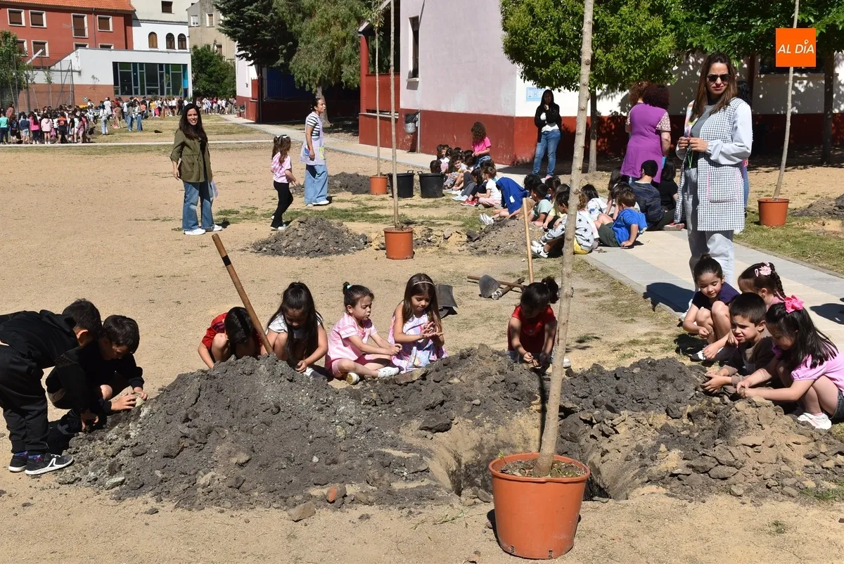Foto 2 - Alumnos y profesores del Colegio San Francisco plantan 26 nuevos &aacute;rboles en su patio
