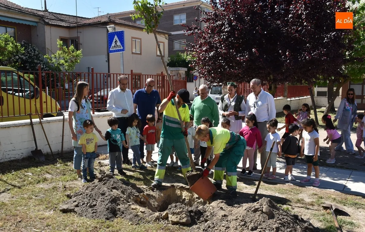 Foto 4 - Alumnos y profesores del Colegio San Francisco plantan 26 nuevos &aacute;rboles en su patio