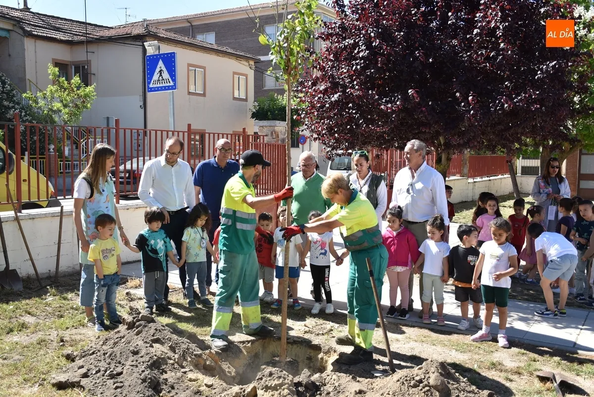 Foto 5 - Alumnos y profesores del Colegio San Francisco plantan 26 nuevos &aacute;rboles en su patio