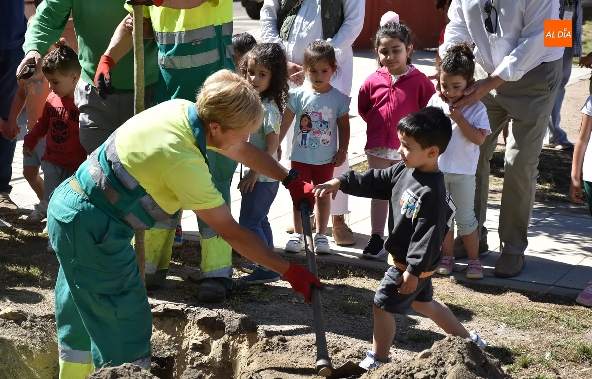 Foto 6 - Alumnos y profesores del Colegio San Francisco plantan 26 nuevos &aacute;rboles en su patio