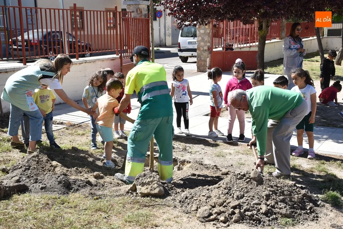Foto 7 - Alumnos y profesores del Colegio San Francisco plantan 26 nuevos &aacute;rboles en su patio