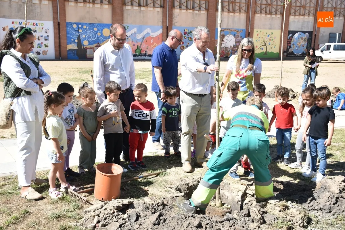 Foto 8 - Alumnos y profesores del Colegio San Francisco plantan 26 nuevos &aacute;rboles en su patio