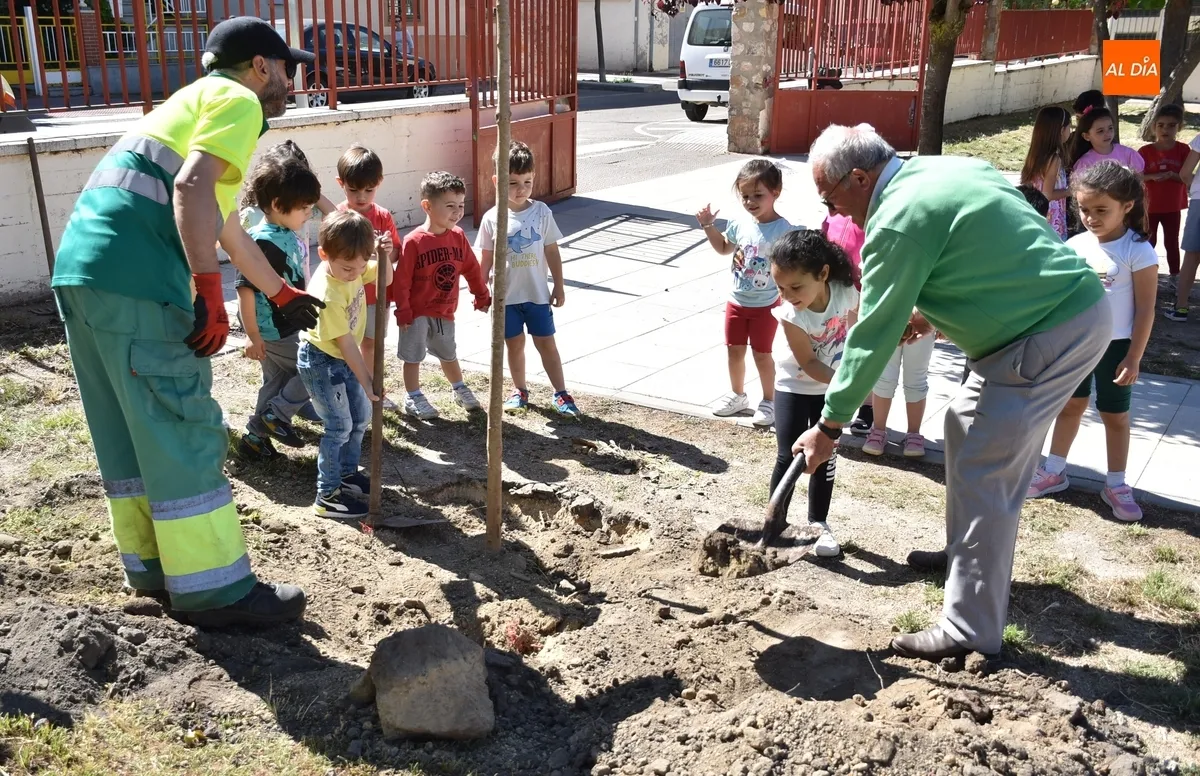 Foto 9 - Alumnos y profesores del Colegio San Francisco plantan 26 nuevos &aacute;rboles en su patio