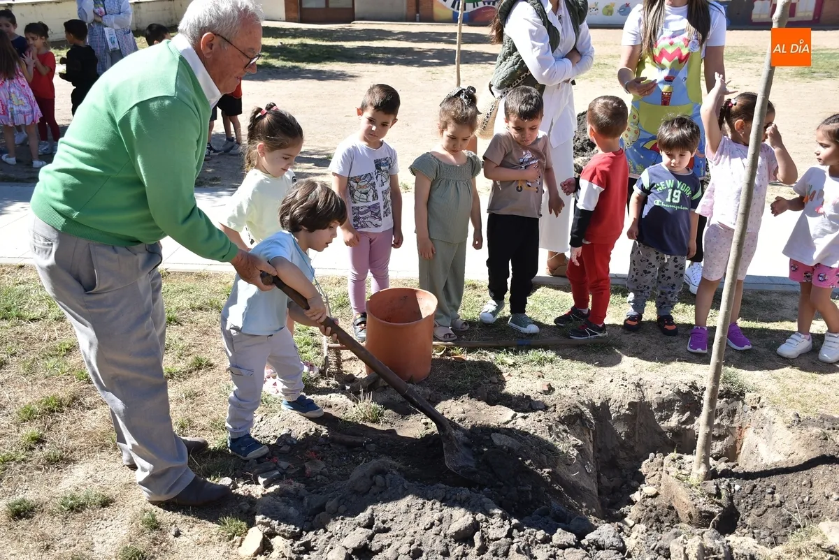 Foto 10 - Alumnos y profesores del Colegio San Francisco plantan 26 nuevos &aacute;rboles en su patio