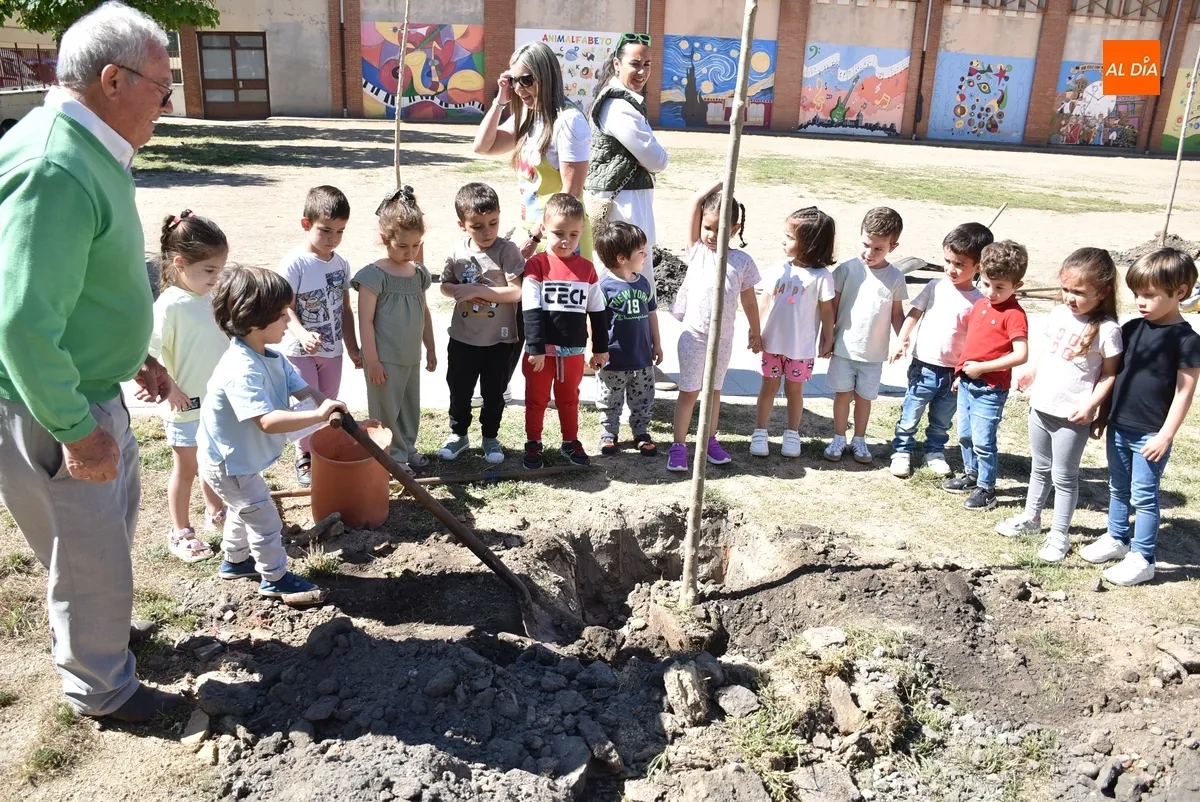 Foto 11 - Alumnos y profesores del Colegio San Francisco plantan 26 nuevos &aacute;rboles en su patio