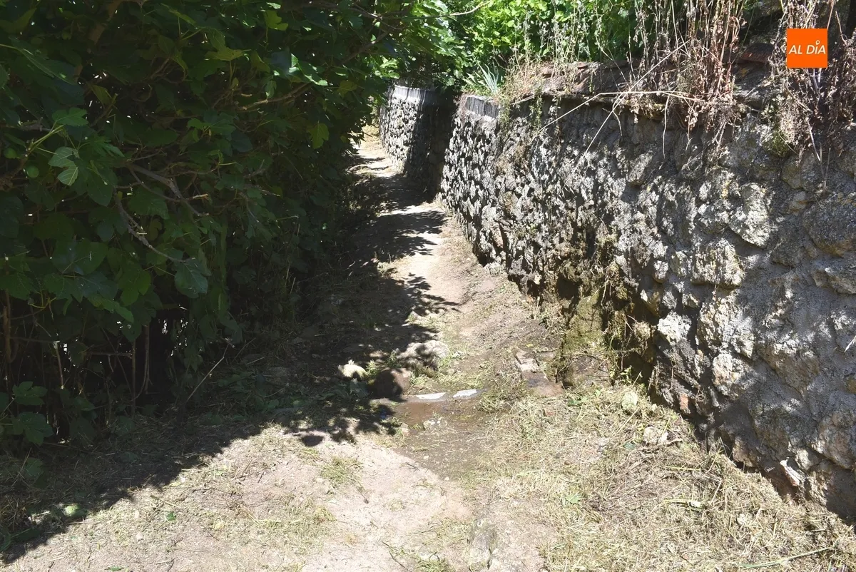 Foto 3 - Puesta a punto del camino hacia los pontones y de la Cuesta de las Higueras de cara al verano