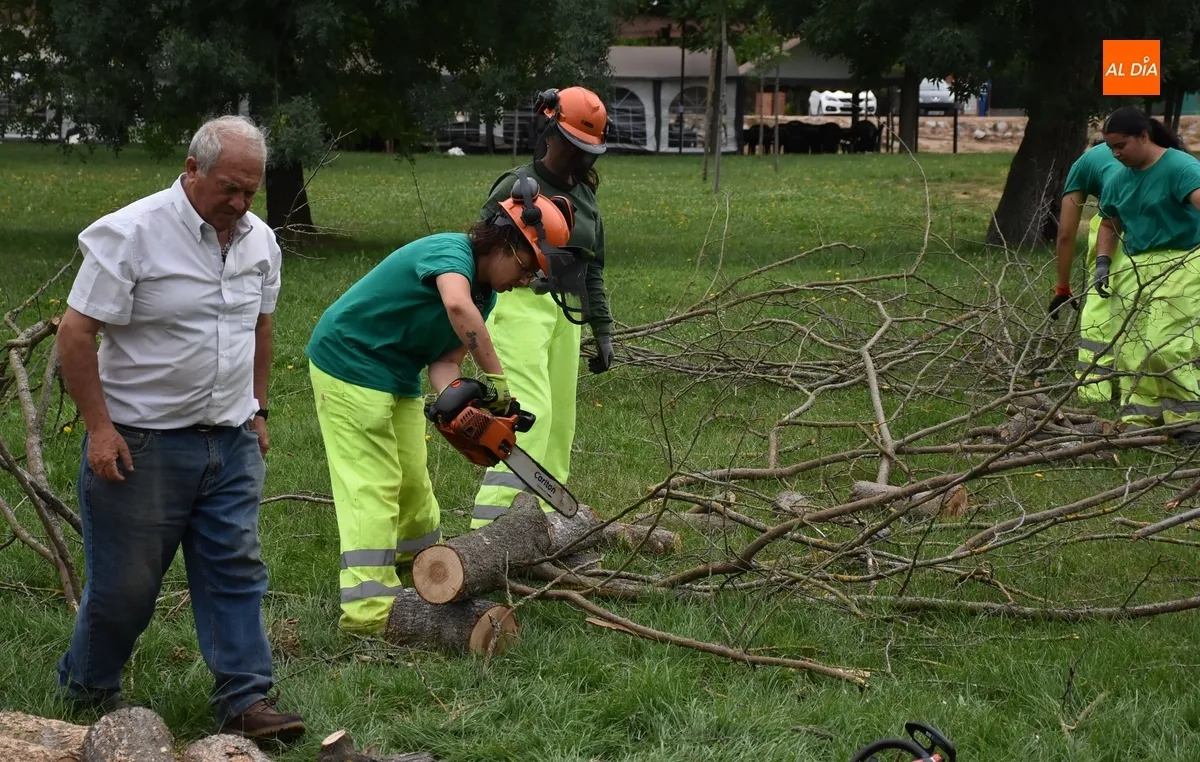 Foto 5 - Recopilada madera en la Alameda Vieja para la hoguera de la Noche de San Juan