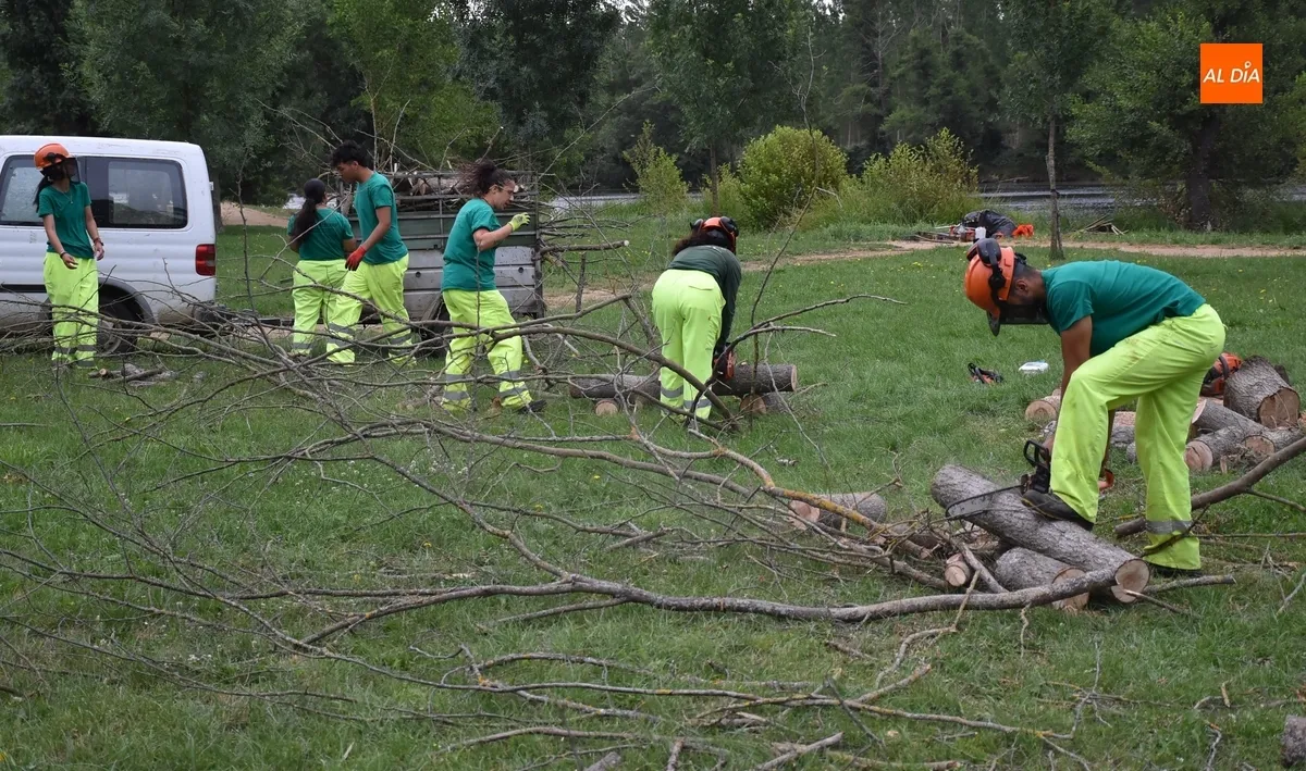 Foto 4 - Recopilada madera en la Alameda Vieja para la hoguera de la Noche de San Juan