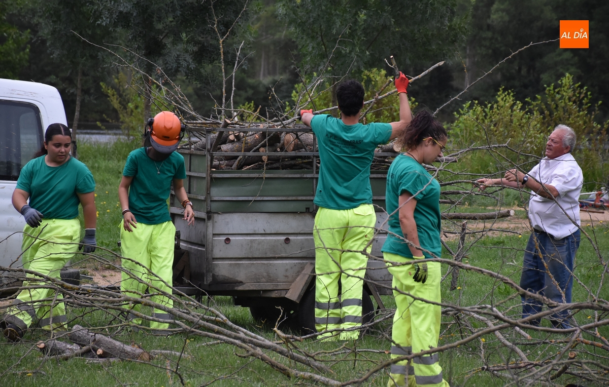 Recopilada madera en la Alameda Vieja para la hoguera de la Noche de San Juan