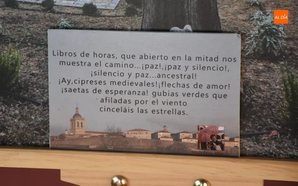 Foto 4 - La Casa Consistorial recibe la expo sobre la Catedral de Santos Vicente y Celia Hidalgo