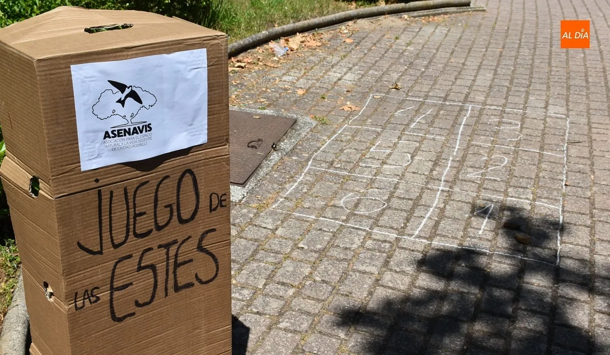 Foto 6 - Asenavis ofrece la posibilidad de brindar una nueva vida a variados objetos