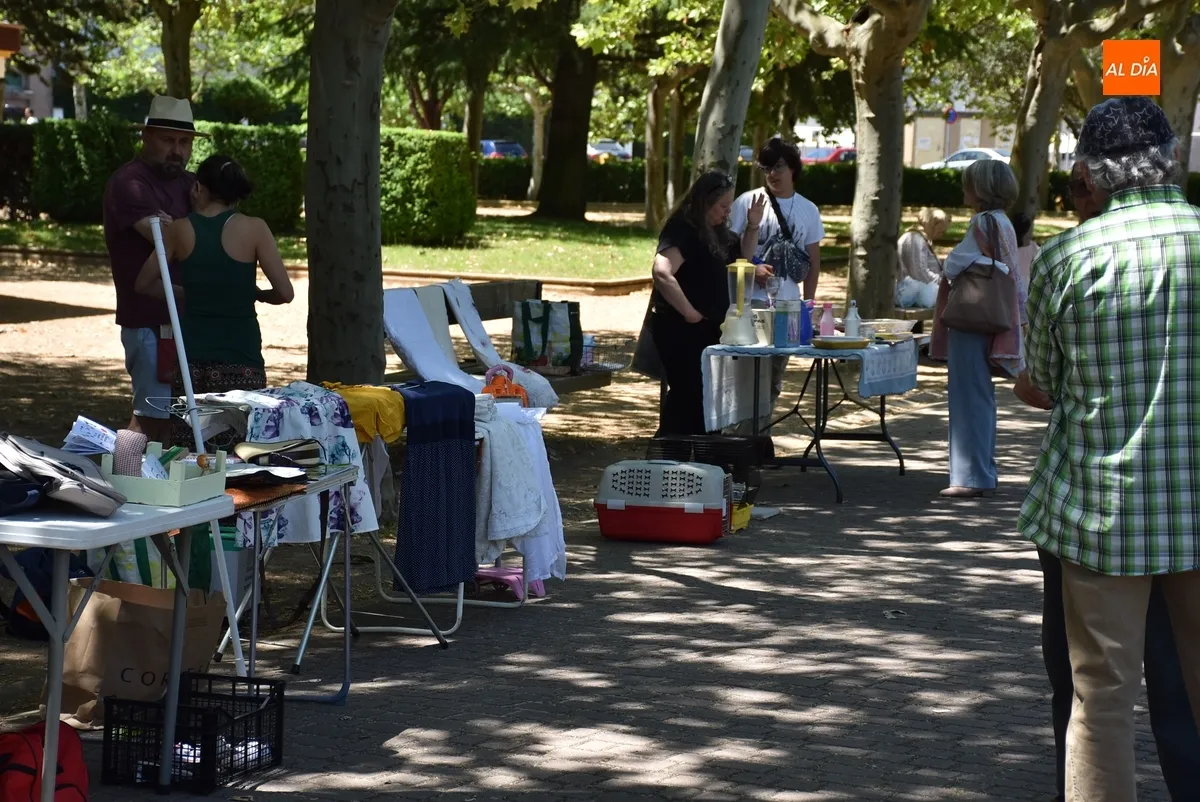Foto 8 - Asenavis ofrece la posibilidad de brindar una nueva vida a variados objetos