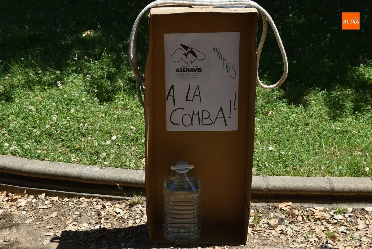 Foto 10 - Asenavis ofrece la posibilidad de brindar una nueva vida a variados objetos