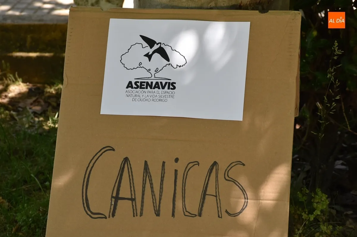 Foto 11 - Asenavis ofrece la posibilidad de brindar una nueva vida a variados objetos