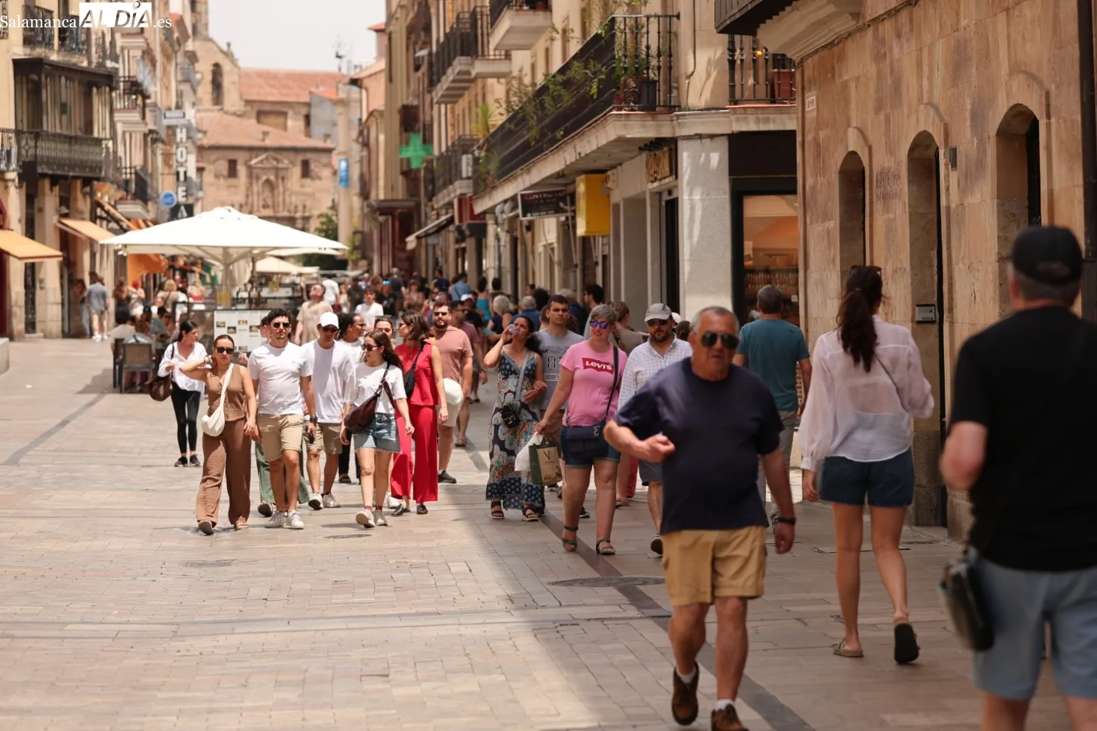 Foto 6 - El calor aprieta en Salamanca y las terrazas se llenan de vida