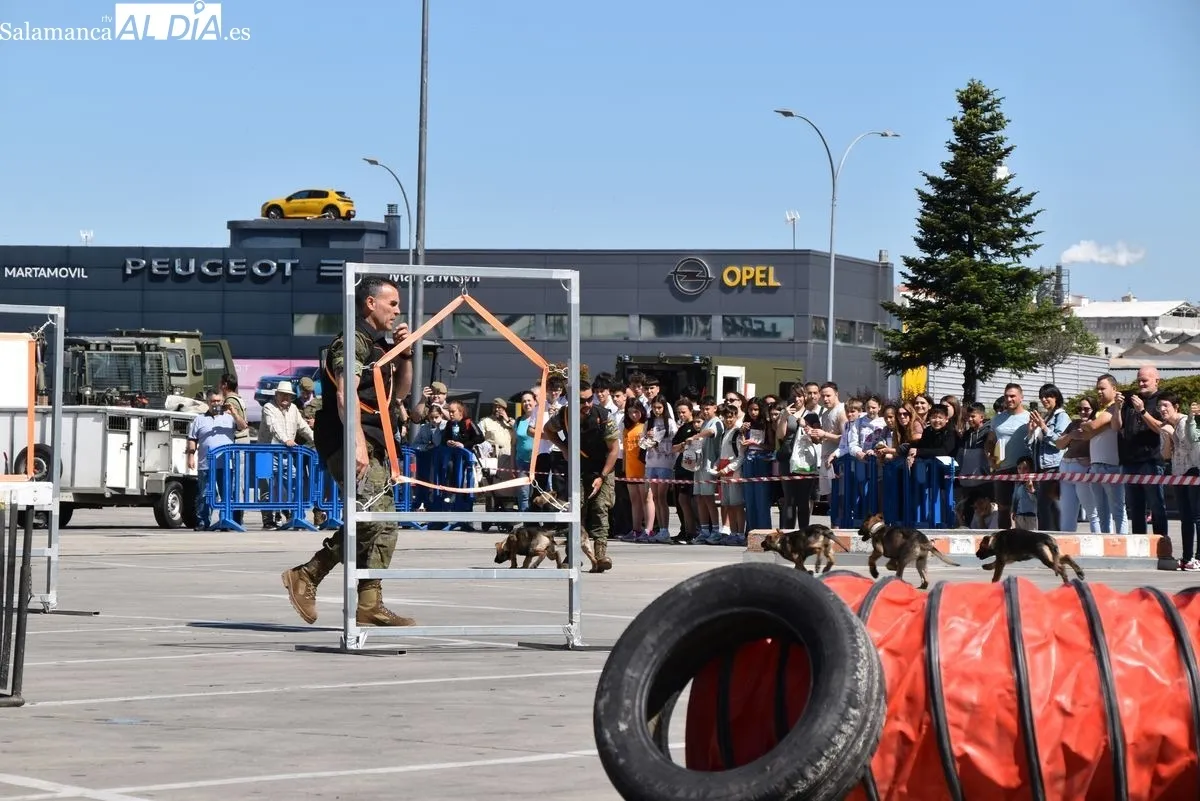 Exhibición de la Guardia Civil y otras fuerzas de seguridad en el Tromes | FOTOS: Vanesa Martins 