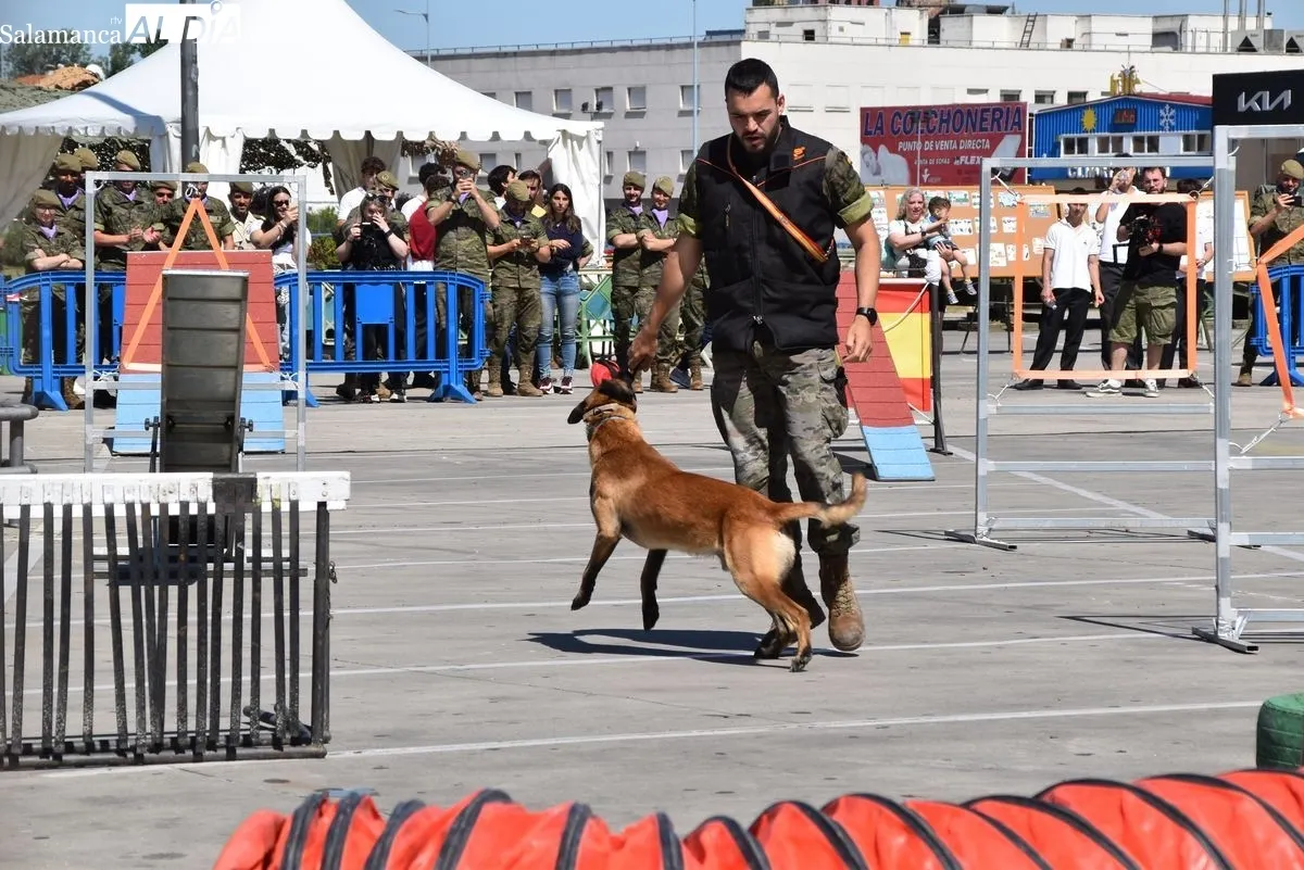 Exhibición de la Guardia Civil y otras fuerzas de seguridad en el Tromes | FOTOS: Vanesa Martins 
