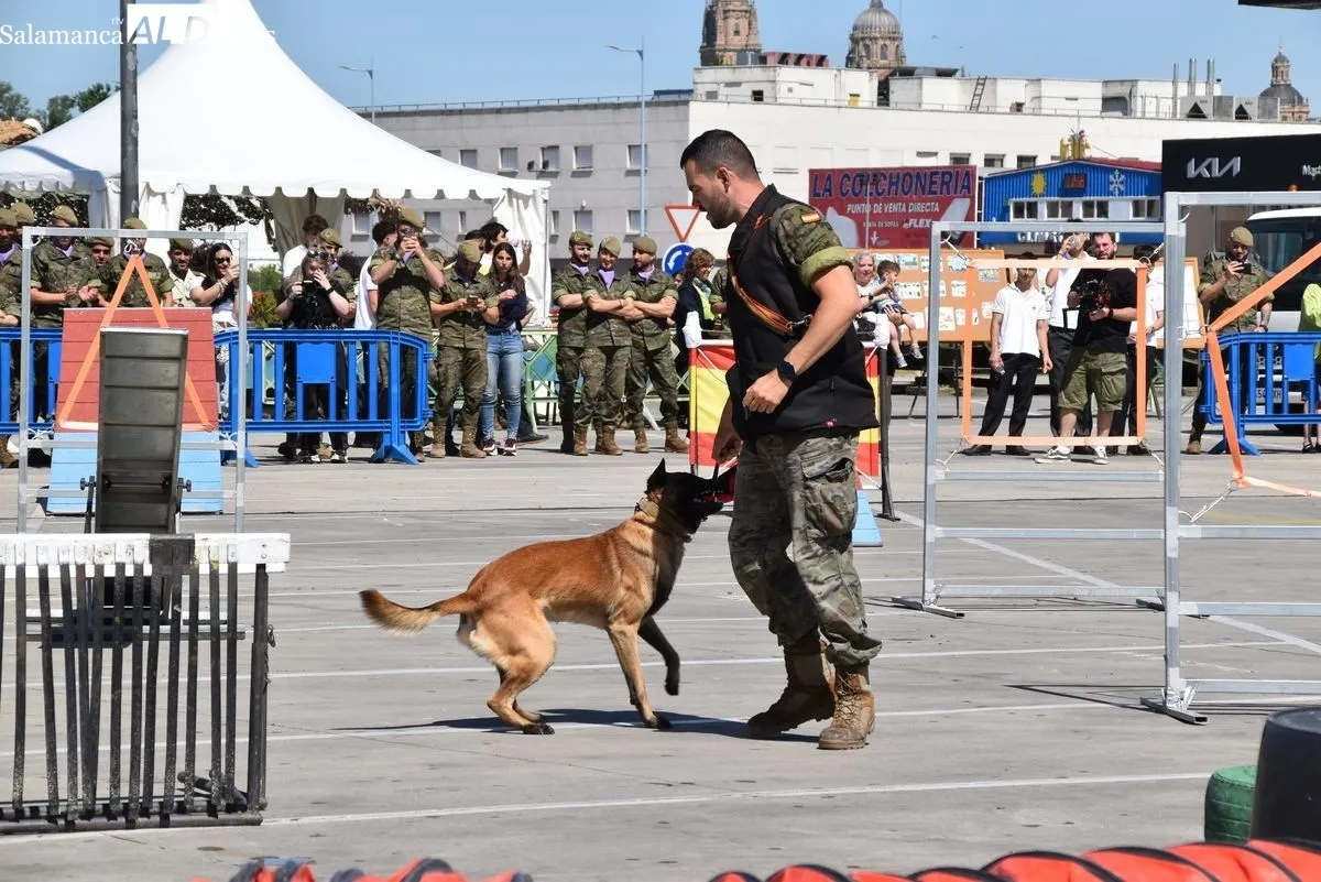 Exhibición de la Guardia Civil y otras fuerzas de seguridad en el Tromes | FOTOS: Vanesa Martins 