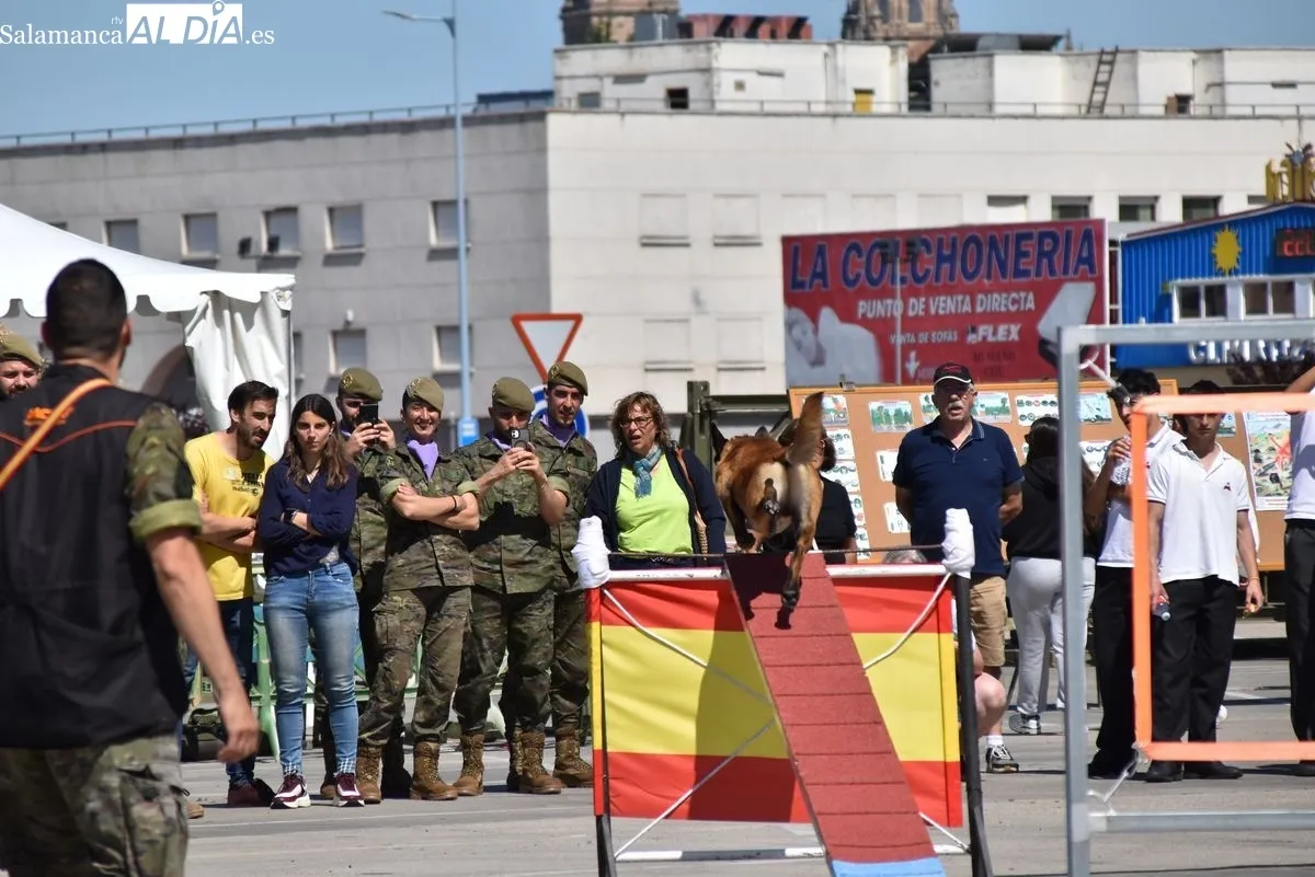 Exhibición de la Guardia Civil y otras fuerzas de seguridad en el Tromes | FOTOS: Vanesa Martins 