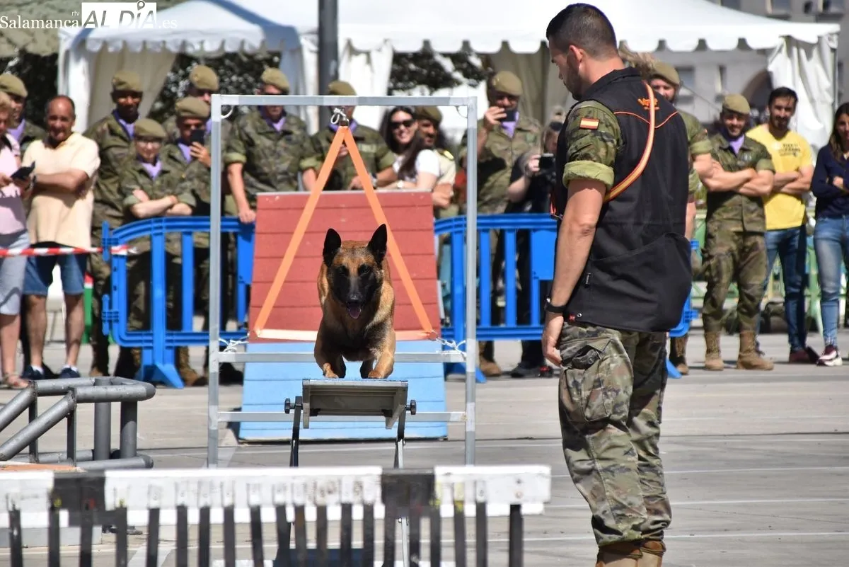 Exhibición de la Guardia Civil y otras fuerzas de seguridad en el Tromes | FOTOS: Vanesa Martins 