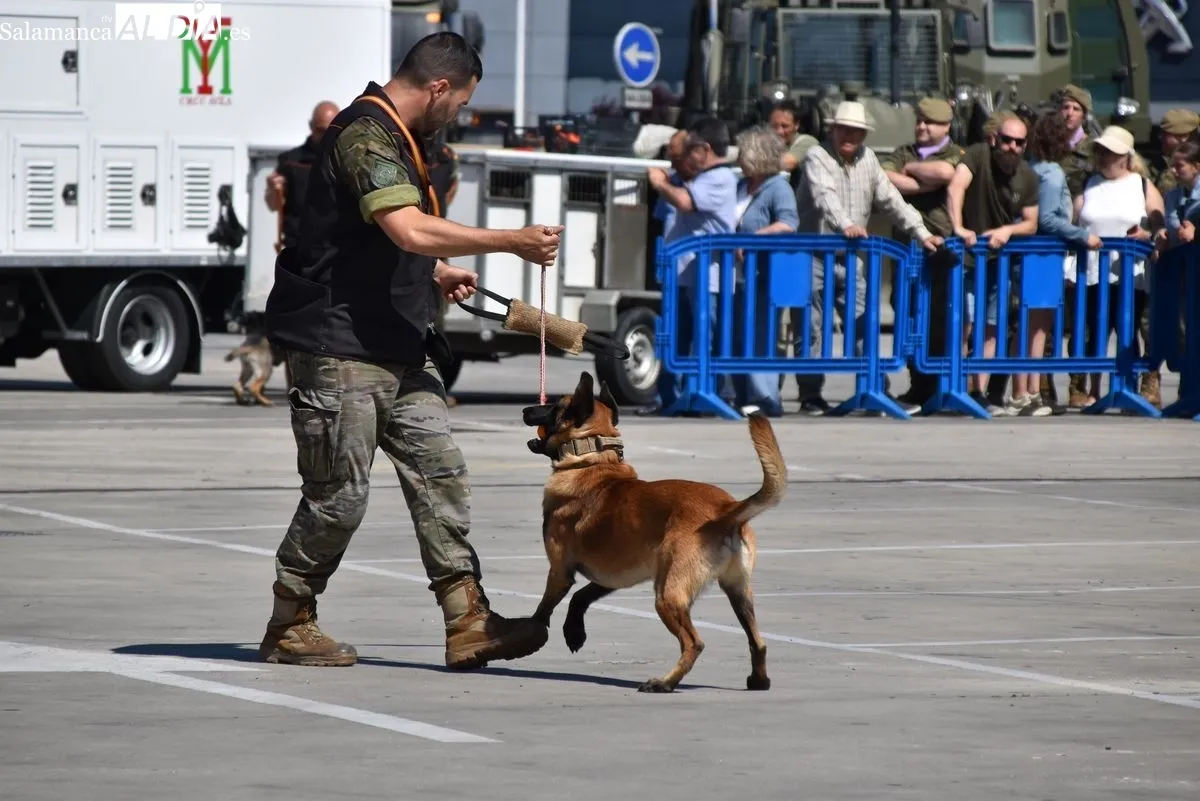 Exhibición de la Guardia Civil y otras fuerzas de seguridad en el Tromes | FOTOS: Vanesa Martins 