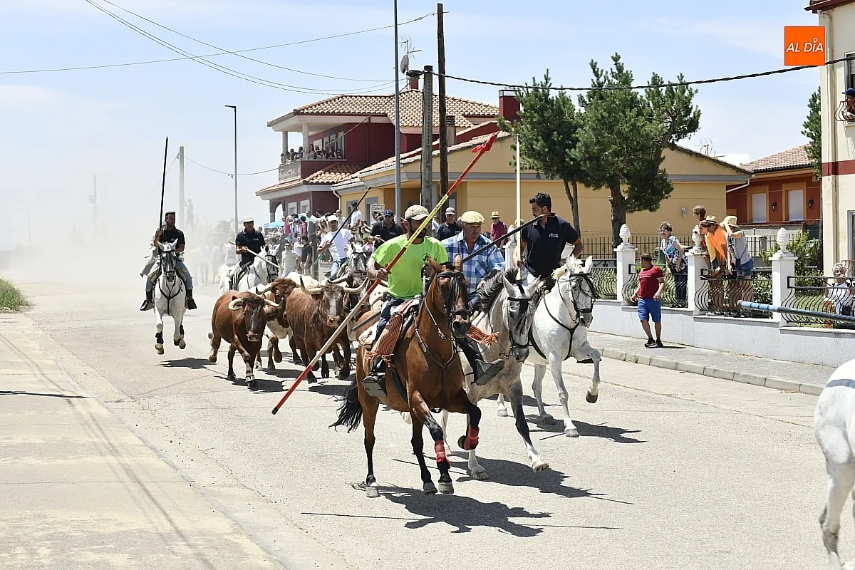 Encierro a Caballo en La Fuente de San Esteban/ Fotos: Adrián M.Pastor