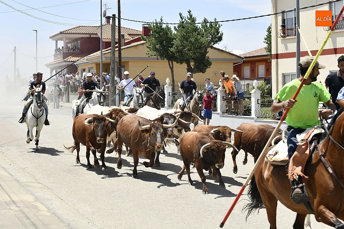 Encierro a Caballo en La Fuente de San Esteban/ Fotos: Adrián M.Pastor